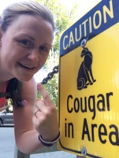 cougar in area