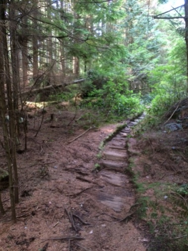 Wood path on Sandero Diez Vistas Trail, Coquitlam British Columbia