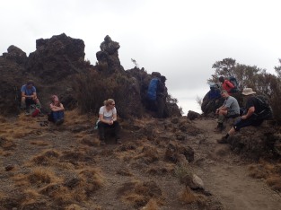 Day 2, Rongai Route, Mount Kilimanjaro