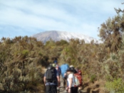 Rongai Route, Mount Kilimanjaro