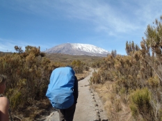 Rongai Route, Day 2, Felix of Team Kilimanjaro