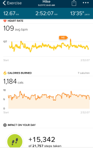 FitBitStats_MntThomMay2017